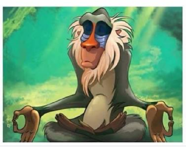 MONKEy relaxing