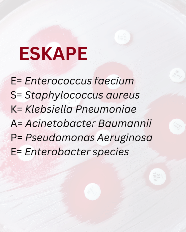 ESKAPE species that have antibiotic resistance