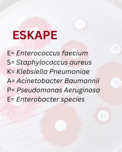 ESKAPE species that have antibiotic resistance