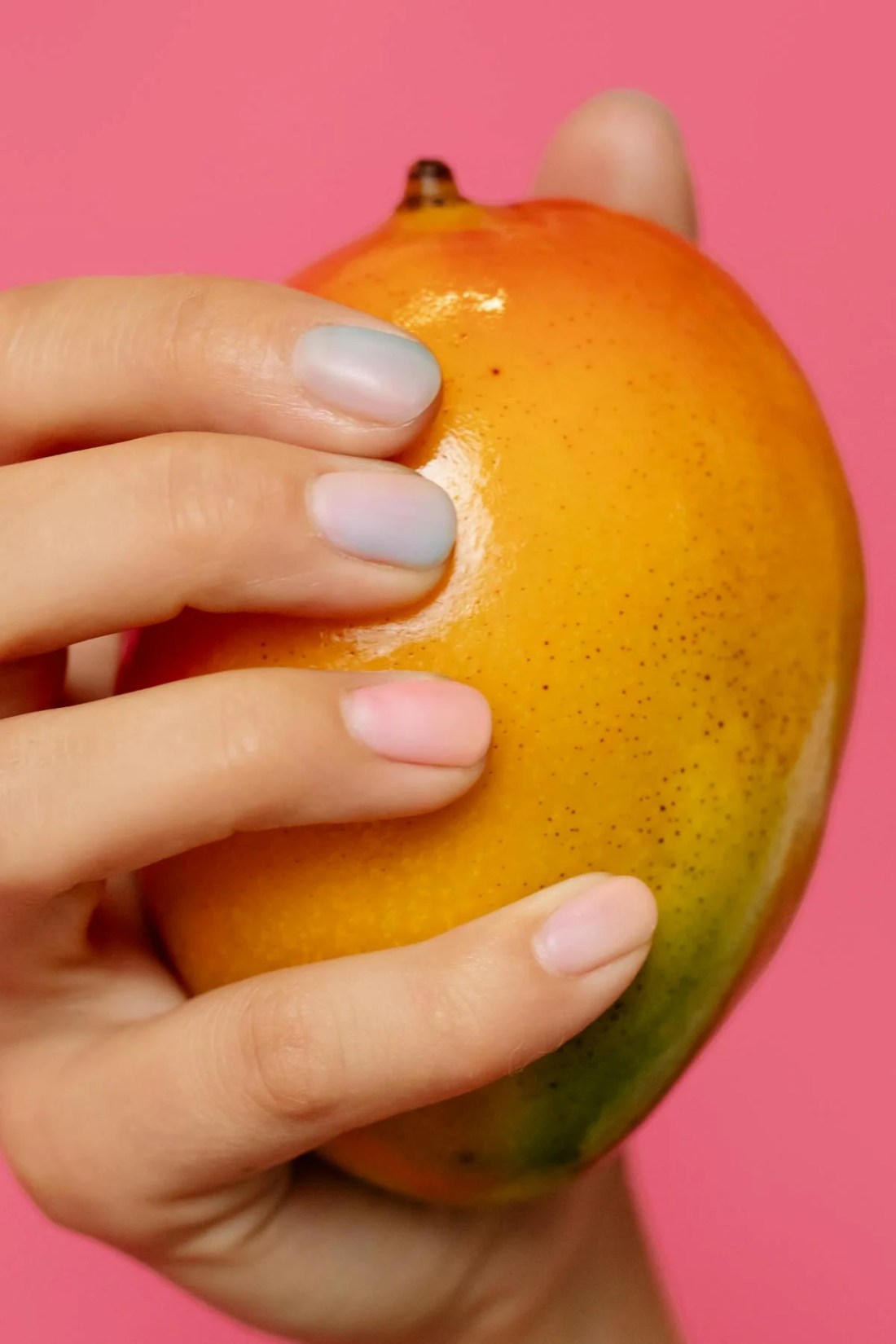 mango held in hand in a pink background