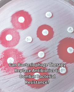 Can Bacteriophage Therapy Replace Antibiotics to Combat Bacterial Resistance?